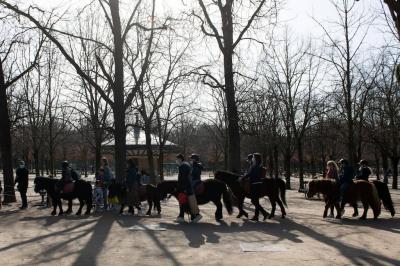Paris : la Ville supprime les balades...'s Image
