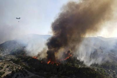 Grèce : la plupart des 667 incendies...'s Image