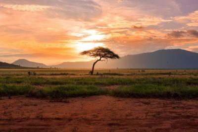 Africa: Land of Flames and Revolts's Image