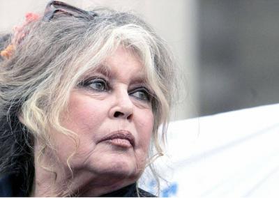 Pour Brigitte Bardot, Macron est un...'s Image