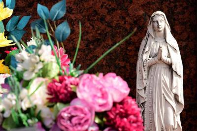 Seine-Saint-Denis : trois individus...'s Image