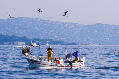 French Fishing on the Brink of...'s Image