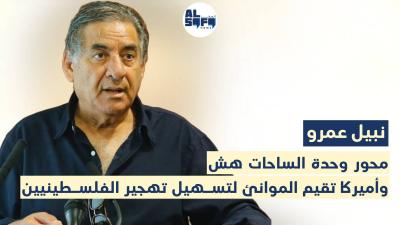 نبيل عمرو في 30 دقيقة: محور وحدة الساحات هش's Image