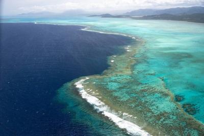 New Caledonia on the Brink of Civil War's Image