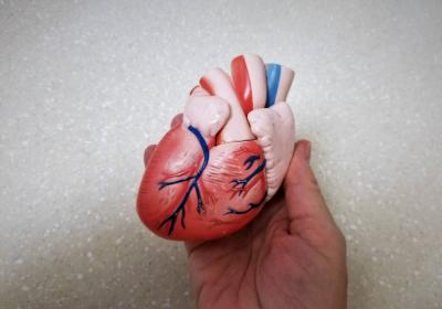 The Most Harmful Foods for the Heart's Image