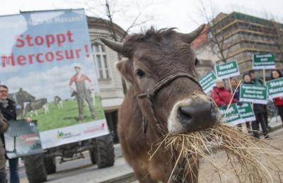 Traité du Mercosur : des enjeux qui...'s Image