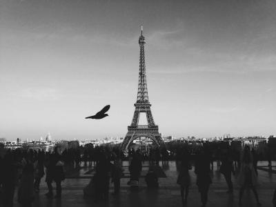 France: Michel Barnier, or Chaos?'s Image