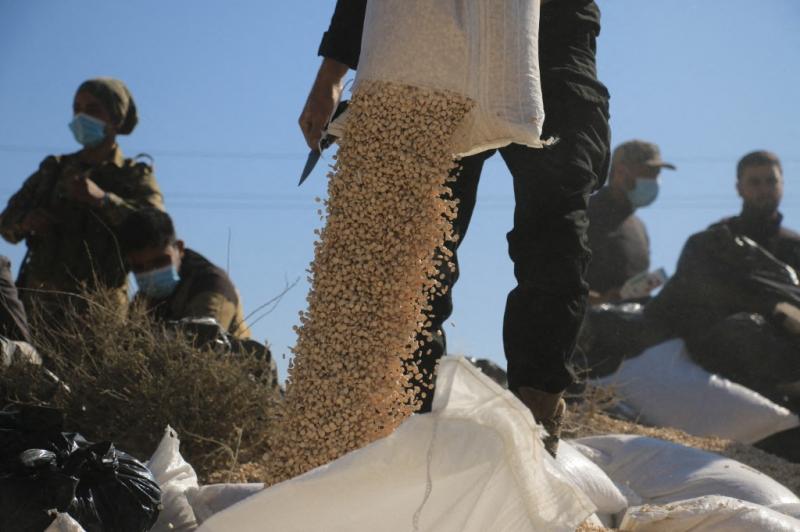اليوم العالمي لمكافحة المخدرات في لبنان: من التوعية إلى الإنذار الأخير's Image