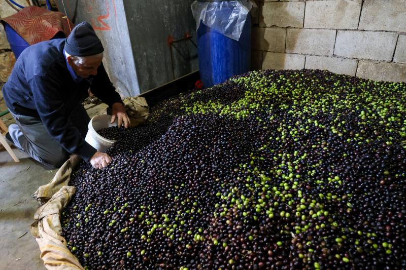 “Olives Used to Be Different”… And...'s Image