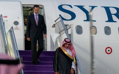 افتتاحية الصفا - الأسد على أرض المملكة... 