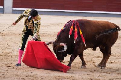 Tauromachie : la justice met un coup...'s Image